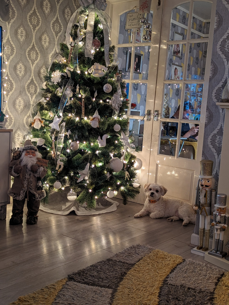 Image for Dog by the tree