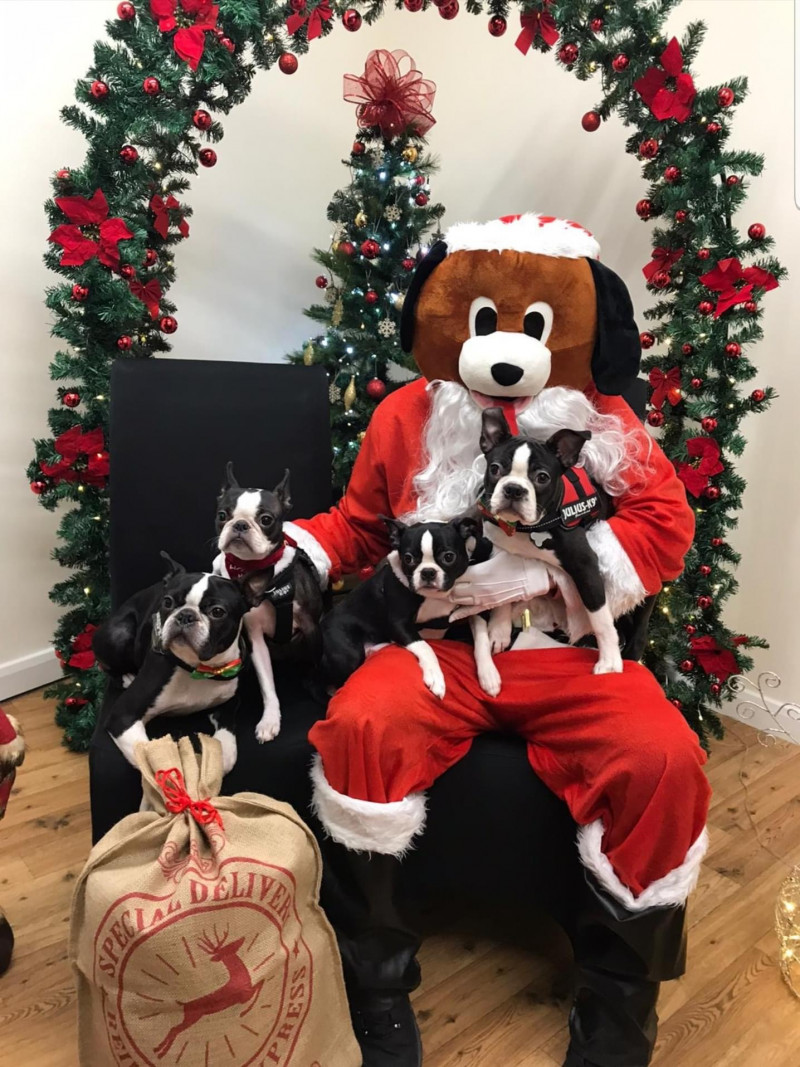 Image for 23. Lenny and Mickey with sisters Daisy and Peggy visiting Santa paws
