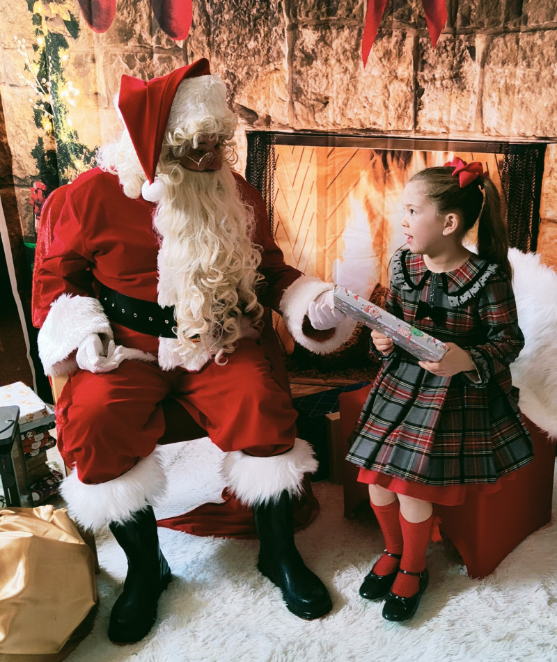 Image for The magic on my little girls face when she saw santa