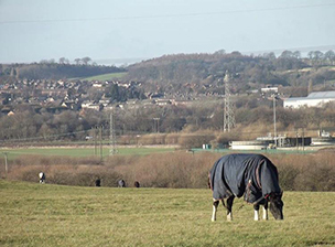 Thumbnail Image for A Decade of Barnsley