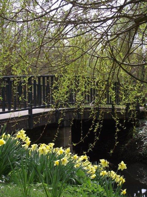 Image for Bridge over Yorkshire Sculpture Park