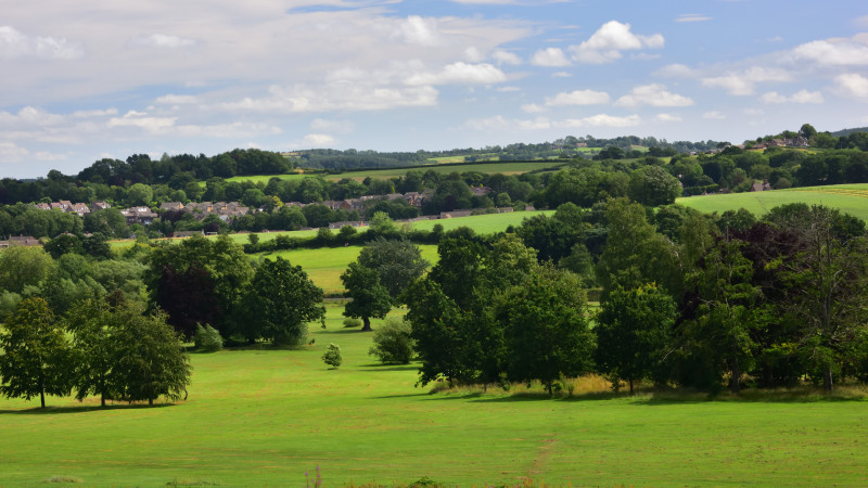 Image for View Across Cannon Hall Park to Cawthorne Village