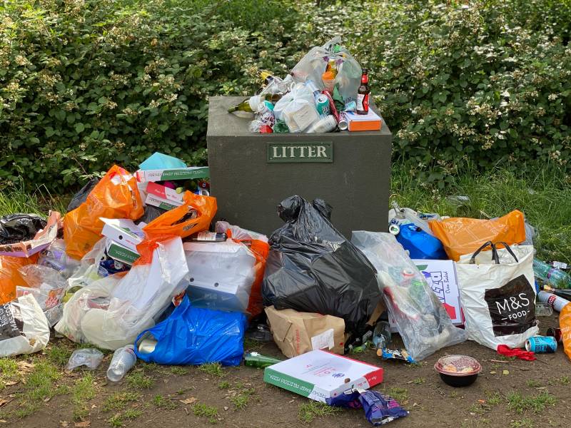 Main image for Littering makes up majority of fines