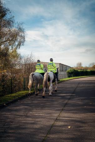 Main image for Appeal after horses nearly hit by HGV