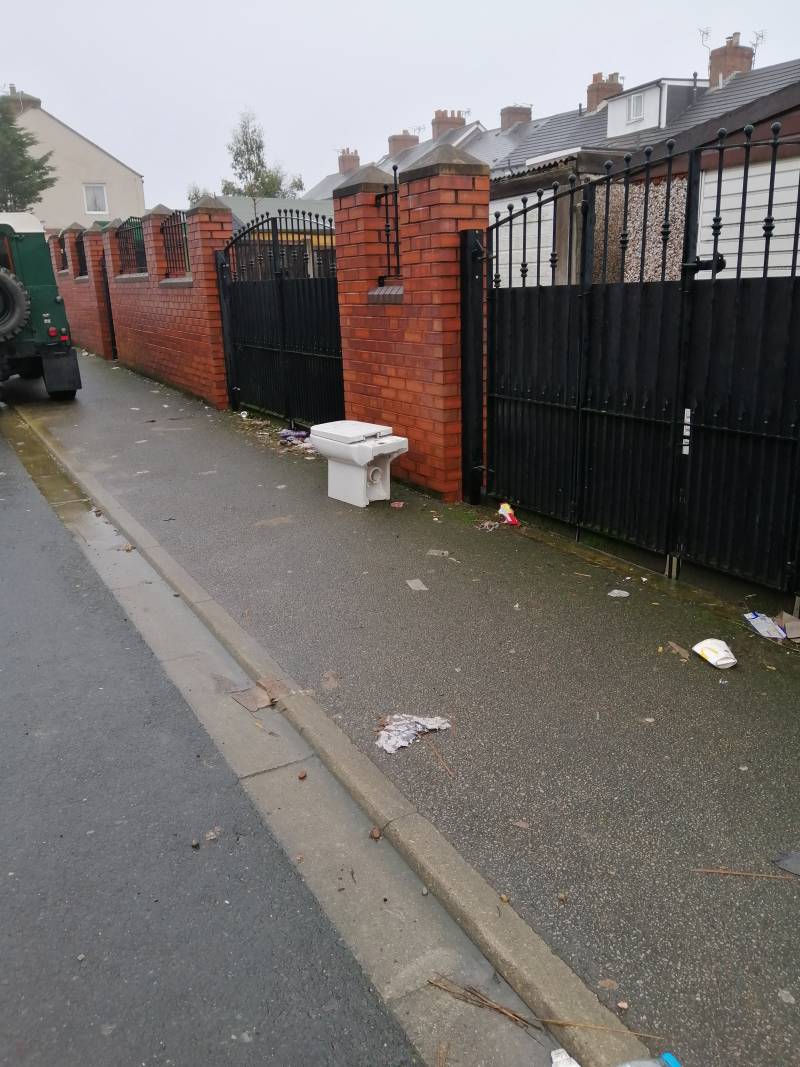 Main image for Residents 'stunned' by fly-tipped toilet