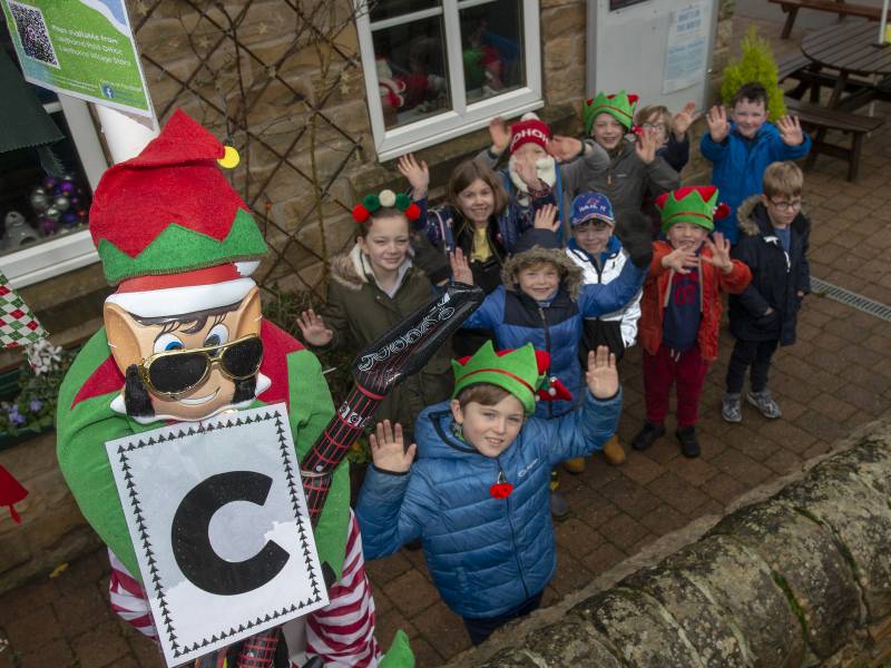 Main image for Cawthorne village elf trail ends tomorrow