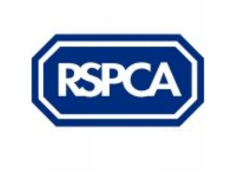 Main image for RSPCA appealing for help in Barnsley