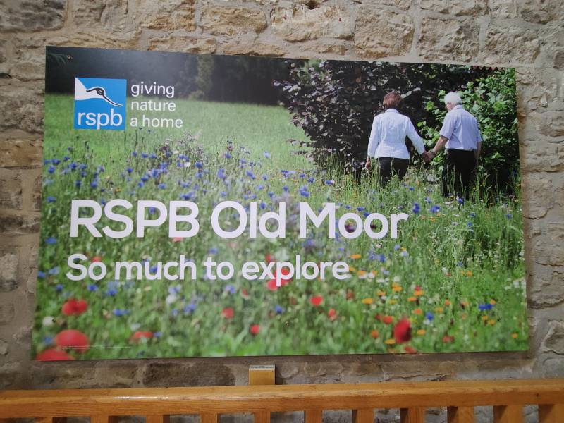 Main image for Ramblers set for a guided walk around RSPB Old Moor