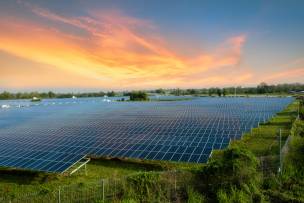Main image for Move expected on huge solar farm