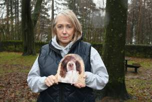Main image for Hunt for scrappy goes on after almost month-long search