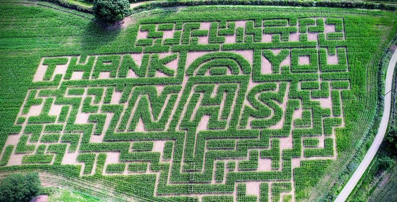 Main image for A-maze-ing tribute given to the NHS