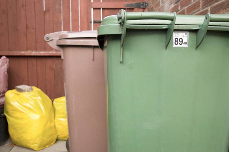 Main image for Staff shortages halt green bin collection