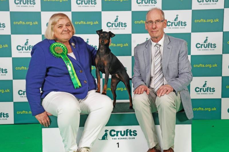 Main image for Tara licks the opposition at top dog show