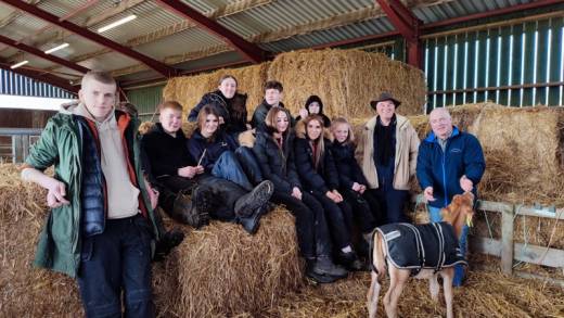 Main image for Calves make a moo-ve to Barnsley farm
