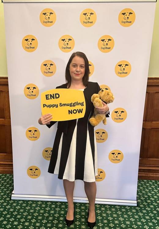 Main image for MP backs puppy smuggling campaign