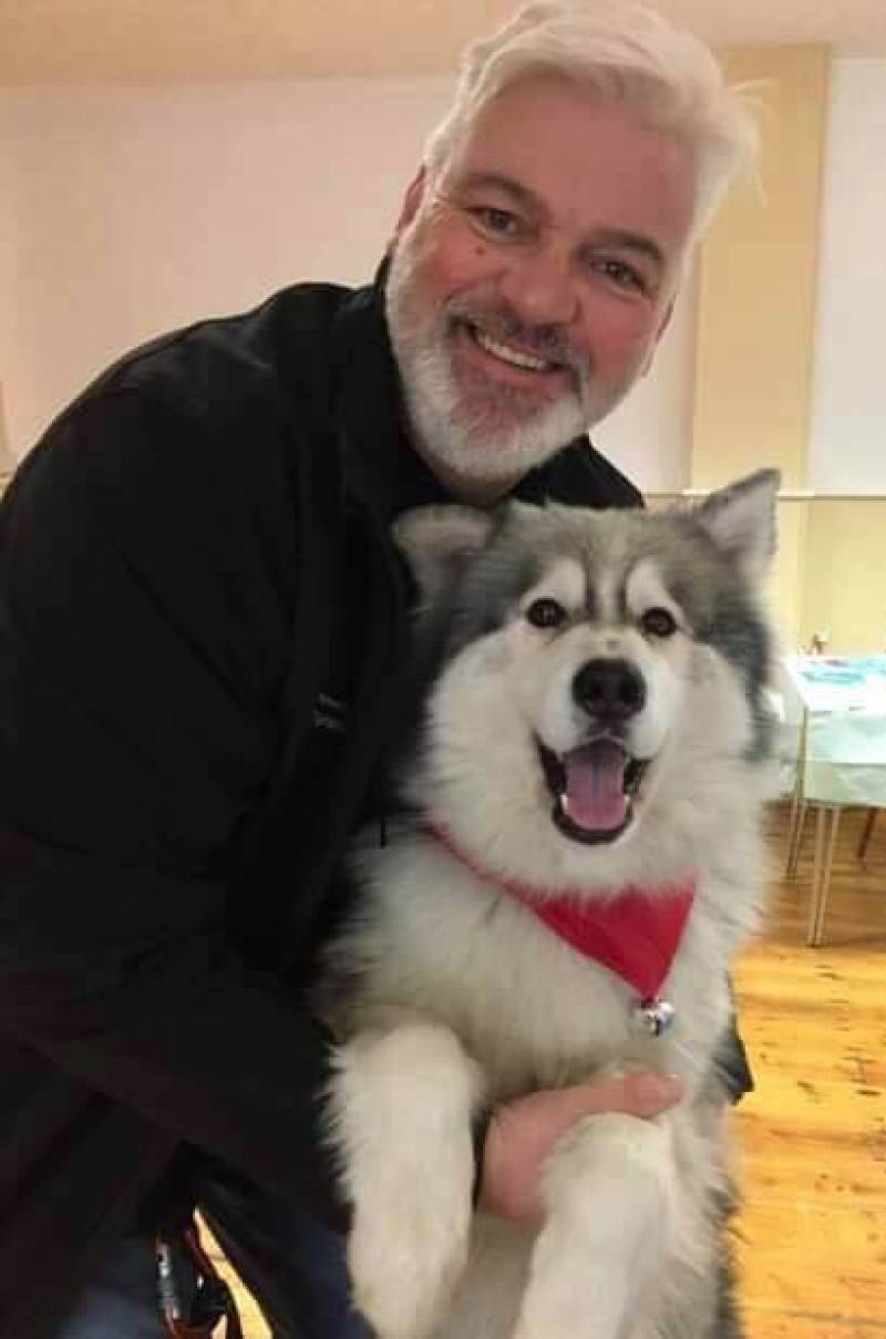 Main image for Therapy huskies' story is being told