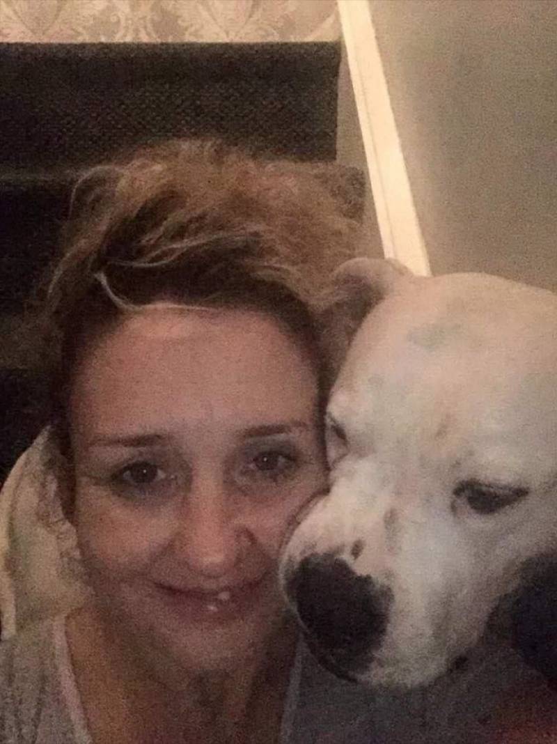 Main image for Distraught dog owner plans to take fireworks fight to Westminster