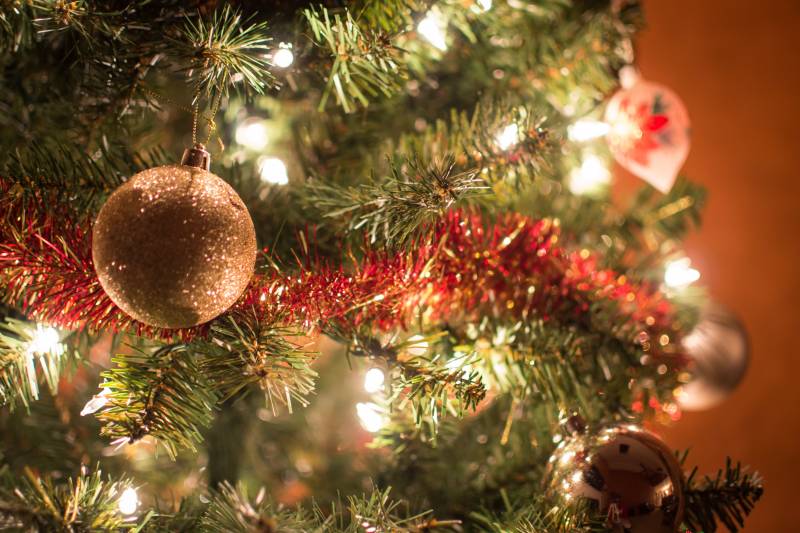 Main image for Christmas tree recycling scheme relaunched