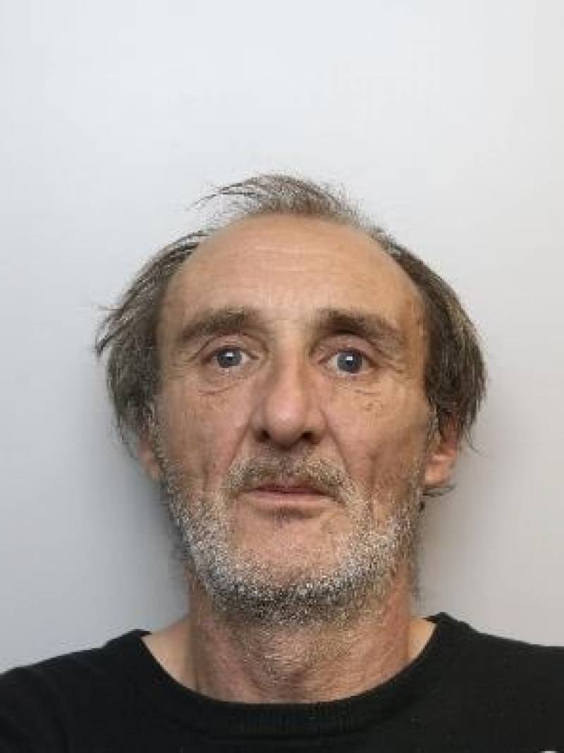 Main image for Man sentenced after cannabis plants found