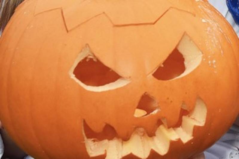 Main image for Pumpkin trail comes to town