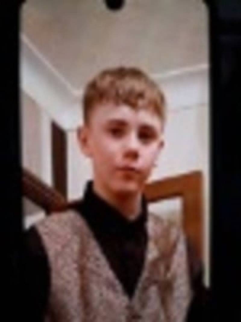 Main image for Appeal to find missing teen