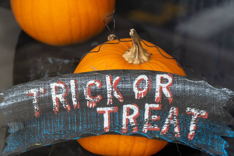 Main image for Police release 'No Trick-or-Treaters' poster