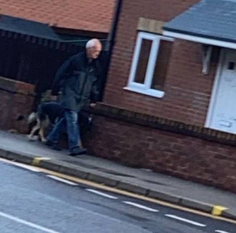 Main image for Police appeal to find dog owner