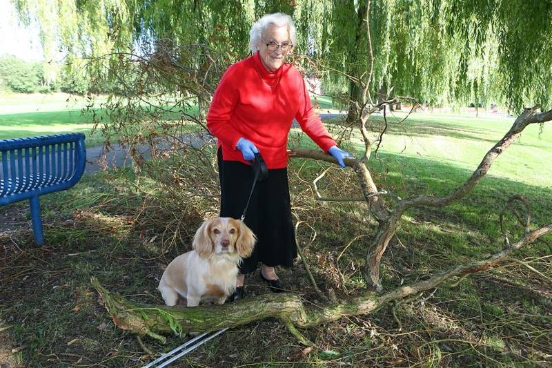 Main image for OAP has a lucky escape from falling branch