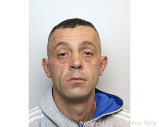 Main image for Burglar jailed for two years