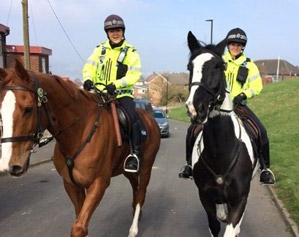 Main image for Police horses return to Tarn