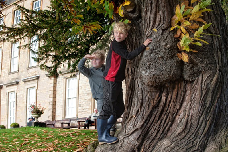Main image for Crowdfunding raises £4000 for Cannon Hall play trail