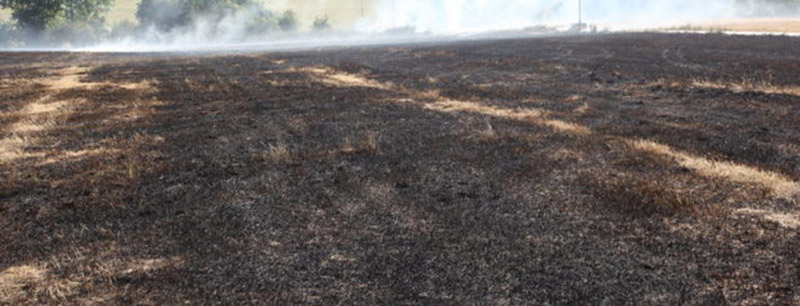 Main image for Firefighters tackle field fire 
