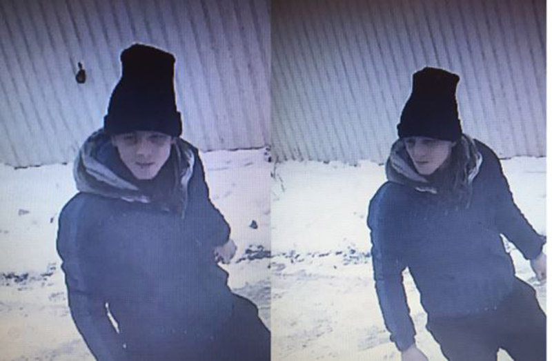 Main image for CCTV released following theft