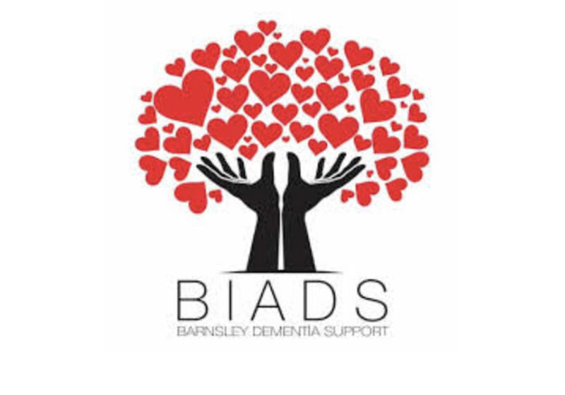 Main image for Lack of pledges leaves BIADS service in danger