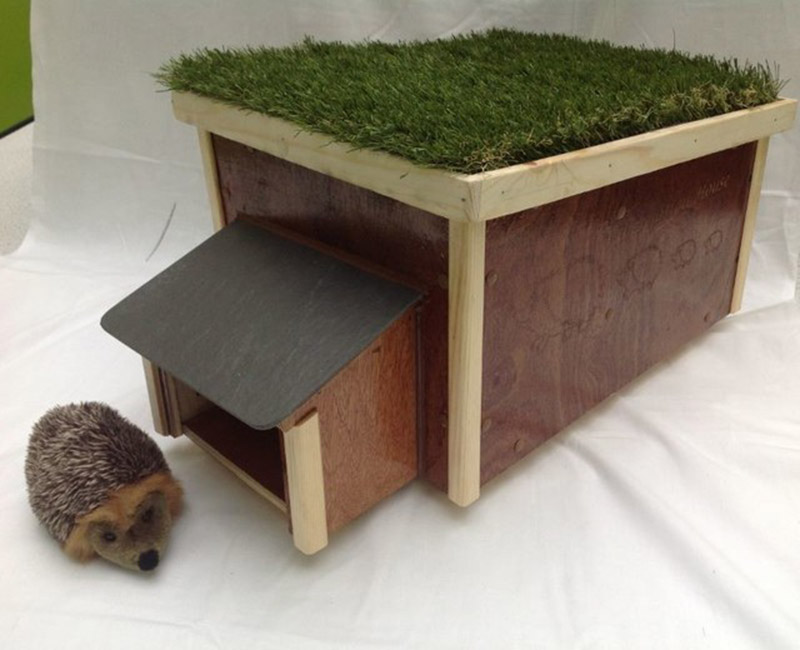Main image for New Homes for Hedgehogs