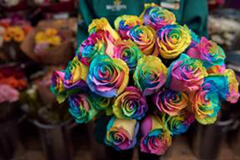 Main image for Rainbow roses on sale for Valentines  