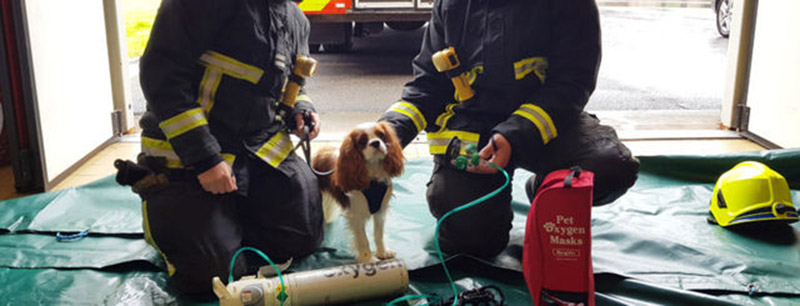 Main image for Lifesaving equipment for pets in fires