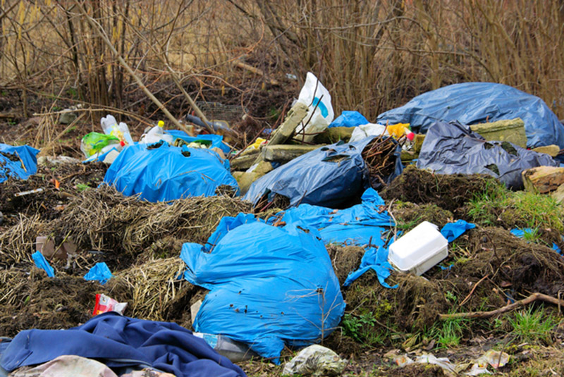 Main image for Calls for tough new approach to litter louts