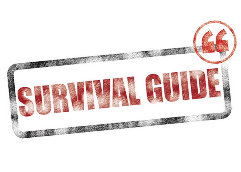 Main image for Easter 2018 - Survival guide